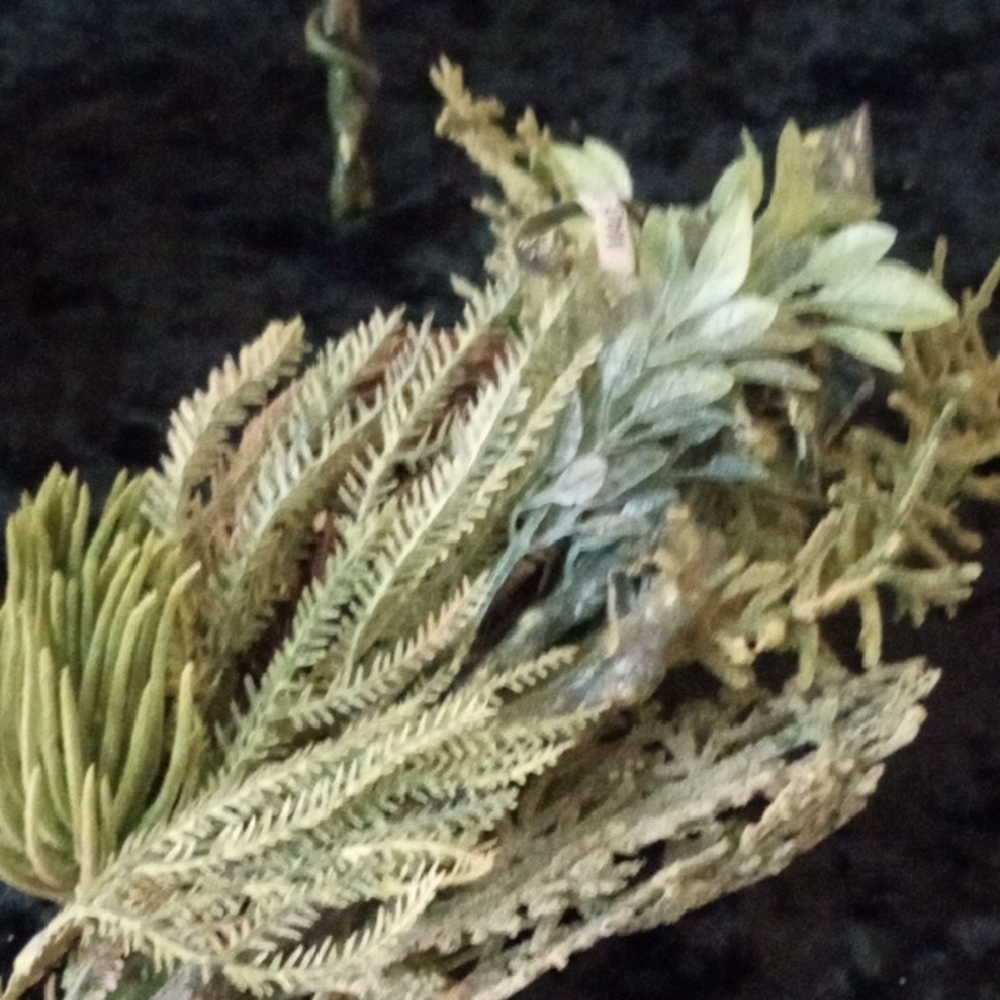 (Lots of 3 ) 13"Artificial Greenery with Birds Nest and Eggs - Picture 4 of 7
